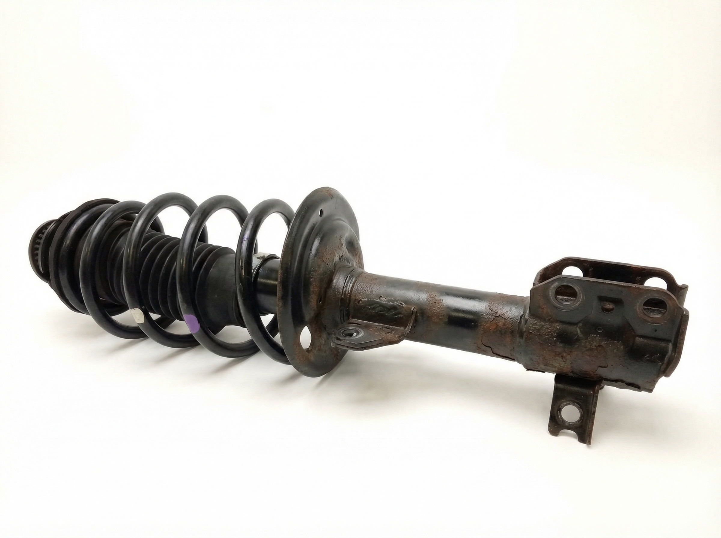 OEM Suspension Strut for 2012-2019 Toyota PRIUS, Prius C - Front Left (Driver) (OEM)