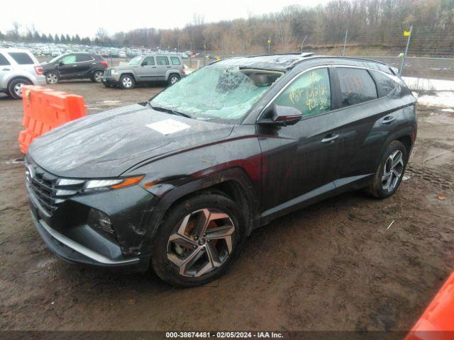 2022-2024 Hyundai Santa Cruz Black Door Interior Trim Panel - Rear, Left (Driver) (Used OEM)