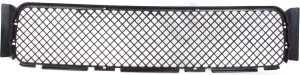 Front Bumper Grille for BMW M3 (1995-1999), Lower, Paint-to-Match, Replacement