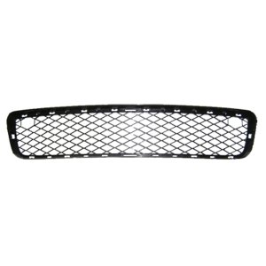 2007 - 2010 BMW X5 Front Grille Assembly