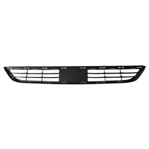 2015 - 2017 BMW X3 Front Bumper Grille