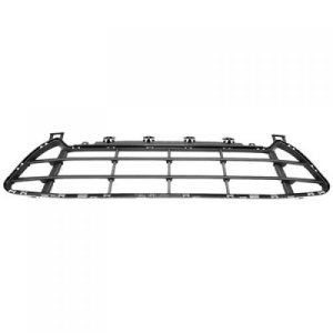 2020 - 2022 BMW X1 Front Bumper Grille