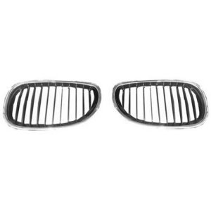 2004 - 2010 BMW 525xi Grille Assy