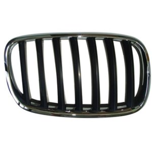 2007 - 2014 BMW X5 Grille Assy