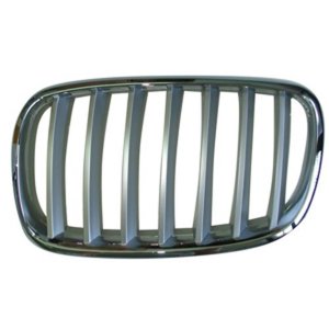 2007 - 2012 BMW X5 Grille Assy