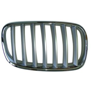 2007 - 2012 BMW X5 Grille Assy