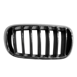 2014 - 2018 BMW X5 Grille Assy