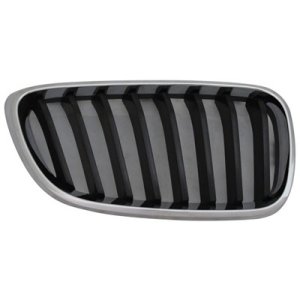 2014 - 2021 BMW 228i Grille Assembly - Right (Passenger)