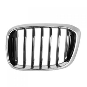 2018 - 2019 BMW X3 Grille Assembly