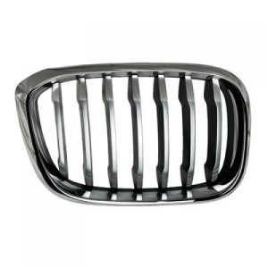 2018 - 2021 BMW X3 Grille Assembly