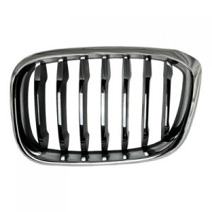 2018 - 2021 BMW X3 Grille Assembly