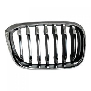 2018 - 2021 BMW X3 Grille Assembly