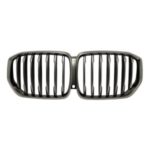 2019 - 2023 BMW X5 Grille Assembly