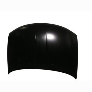 2009 - 2020 Dodge Journey Hood Panel Assy