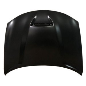 2015 - 2023 Dodge Charger Hood Panel Assembly