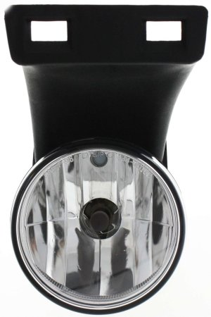 Front Fog Light Assembly for Dodge Full Size Pickup 1999-2002, Left (Driver), Without Sport Package, Old Body Style, Replacement