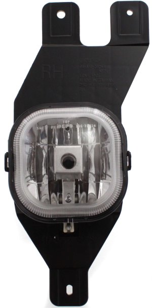 Front Fog Light Assembly for Ford F-Series Super Duty (1999-2004)/Excursion (2001-2004), Right (Passenger), Factory Installed, Replacement - Fits Models F-250, F-350, F-450, F-550.