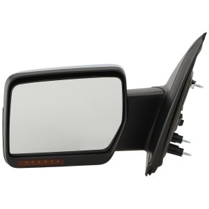 Power Mirror for Ford F-150 2009-2010, Left (Driver), Non-Towing, Manual Folding, Heated, Chrome, with In-housing Signal Light and Memory, without Auto Dimming and Blind Spot Detection, Replacement