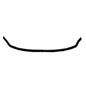 2018 - 2020 Ford F-150 Front Bumper Step Pad