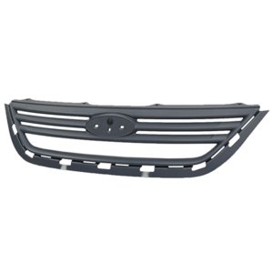 2011 - 2013 Ford Fiesta Grille Assy