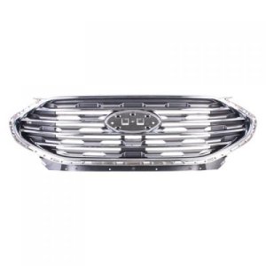 2019 - 2024 Ford Edge Grille Assembly
