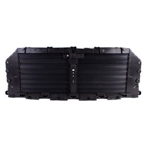 2021 - 2025 Ford F-150 Grille Air Intake Assembly