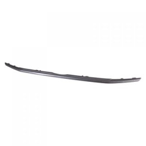 2018 - 2022 Ford Ecosport Grille Molding Lower