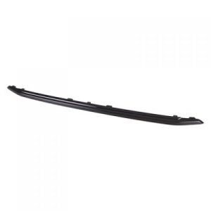2018 - 2022 Ford Ecosport Grille Molding Upper
