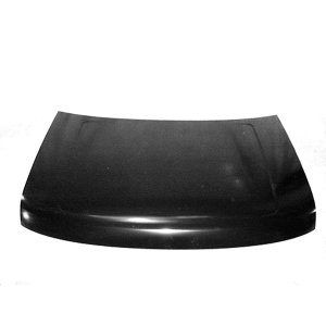 2009 - 2019 Ford Flex Hood Panel Assy