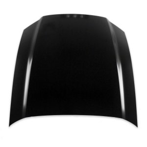 2013 - 2014 Ford Mustang Hood Panel Assy