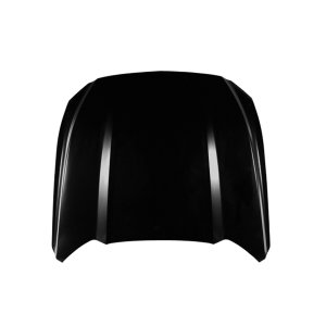 2015 - 2017 Ford Mustang Hood Panel Assy