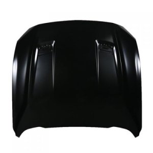 2018 - 2023 Ford Mustang Hood Panel Assembly