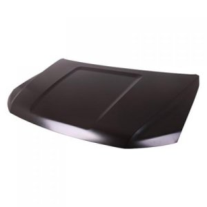 2018 - 2023 Ford Expedition Hood Panel Assembly