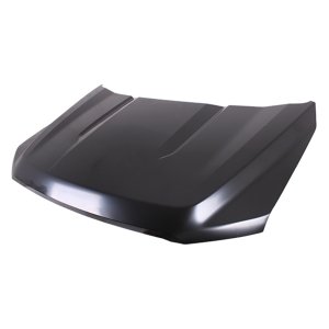 2021 - 2025 Ford F-150 Hood Panel Assembly