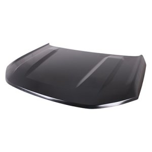 2021 - 2025 Ford Bronco Sport Hood Panel Assembly