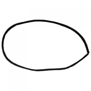 Front Door Weatherstrip for Ford Focus 2012-2018, Right (Passenger)=Left (Driver), Door Opening, On Body with Strip, Replacement