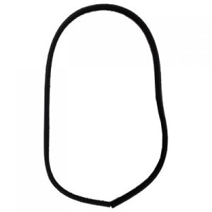 Rear Door Weatherstrip for Ford Focus 2012-2018, Right (Passenger)=Left (Driver), On Body with Strip, Replacement