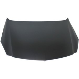 2011 - 2011 Buick Regal Hood Replacement