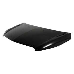 2013 - 2017 Buick Enclave Hood Panel Assy