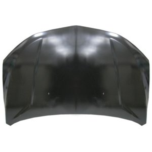 2017 - 2020 Chevrolet (Chevy) Sonic Hood Panel Assy