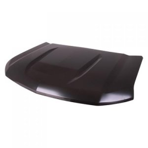 2019 - 2025 Chevrolet (Chevy) Silverado 1500 Hood Panel Assembly