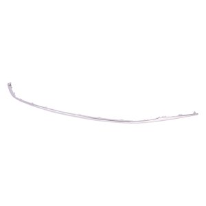 2016 - 2017 Honda Accord Rear Bumper Molding