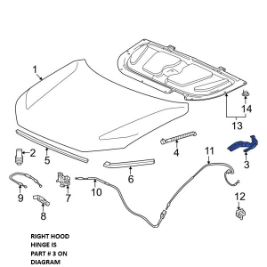 2023 - 2025 Honda CR-V Hood Hinge Assembly