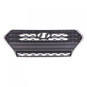 2018 - 2020 Hyundai Accent Grille Assembly