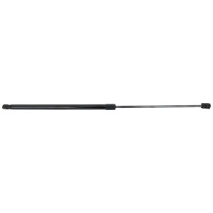 2018 - 2024 Volkswagen Tiguan Hood Lift Assembly