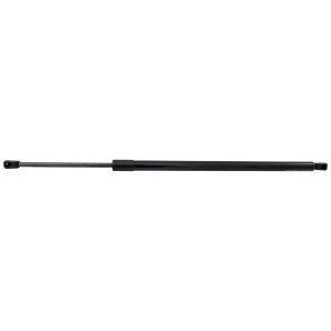 2021 - 2025 Toyota Sienna Lift Support - Right (Passenger)
