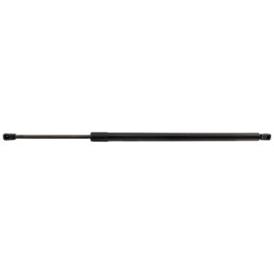 2021 - 2025 Toyota Sienna Lift Support - Left (Driver)