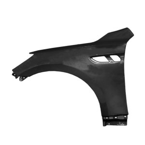 2015 - 2017 Kia K900 Front Fender Assy (Left / Driver Side)