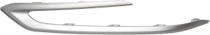 2023 - 2025 Lexus RX350 Front Bumper Molding (Left / Driver Side)
