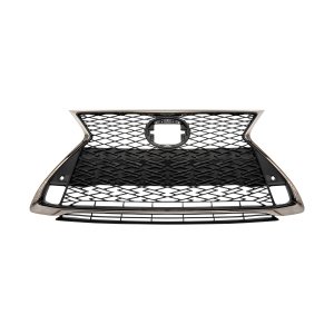 2021 - 2021 Lexus Rc300 Grille Assembly